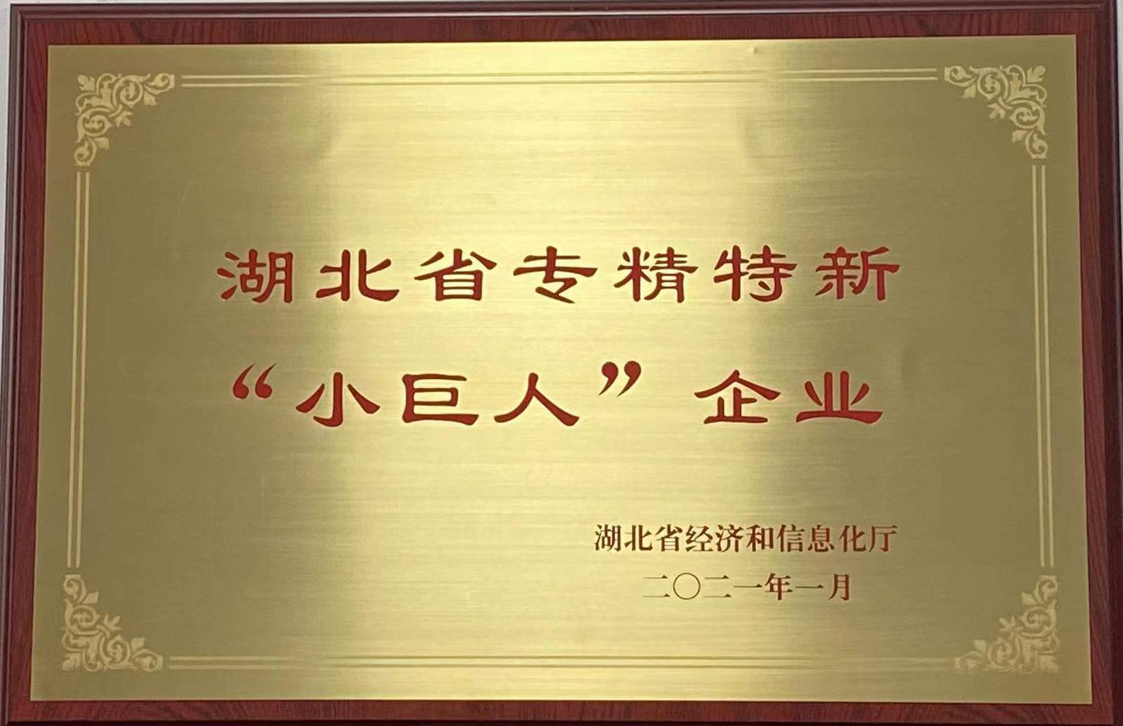 湖北省專精特新小巨人